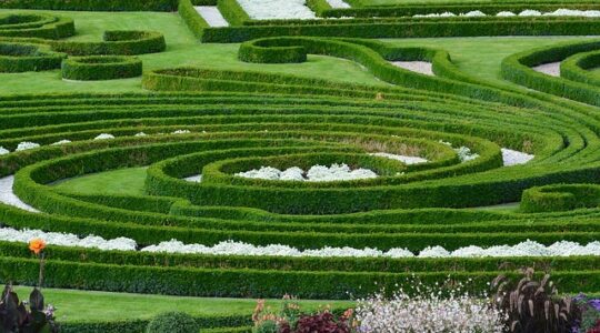 entretien d'un jardin