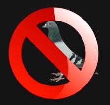 anti pigeons